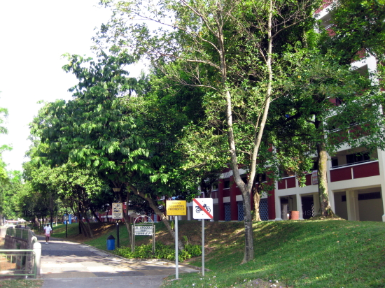 Hougang Street 51 thumbnail photo